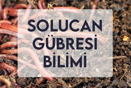 Solucan Gübresi Bilimi Solucan Gübresi Bilimi