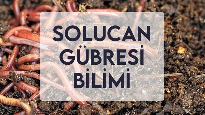 Solucan Gübresi Bilimi Solucan Gübresi Bilimi