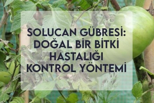 Solucan Gübresi: Doğal Bir Bitki Hastalığı Kontrol Yöntemi Solucan Gübresi: Doğal Bir Bitki Hastalığı Kontrol Yöntemi