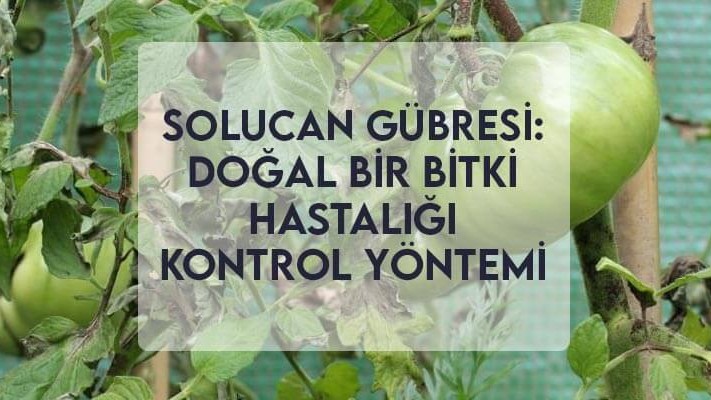 Solucan Gübresi: Doğal Bir Bitki Hastalığı Kontrol Yöntemi Solucan Gübresi: Doğal Bir Bitki Hastalığı Kontrol Yöntemi