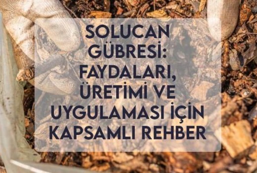 Solucan Gübresi: Faydaları, Üretimi ve Uygulaması İçin Kapsamlı Rehber Solucan Gübresi: Faydaları, Üretimi ve Uygulaması İçin Kapsamlı Rehber