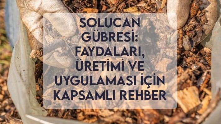Solucan Gübresi: Faydaları, Üretimi ve Uygulaması İçin Kapsamlı Rehber Solucan Gübresi: Faydaları, Üretimi ve Uygulaması İçin Kapsamlı Rehber