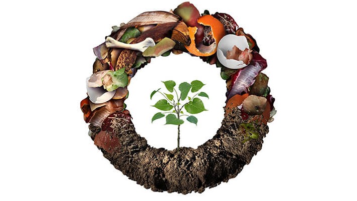 Solucan Gübresi Hakkında Merak Edilenler Solucan Gübresi Hakkında Merak Edilenler