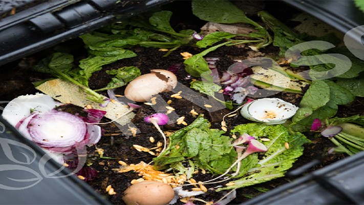 Solucan Gübresi Hakkında Merak Ettikleriniz | Rivasol