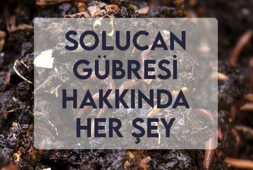 Solucan Gübresi Hakkında Her Şey Solucan Gübresi Hakkında Her Şey