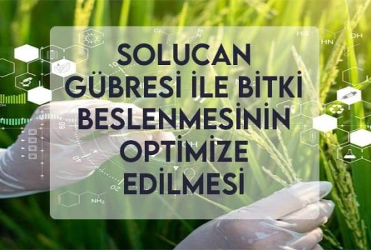 Solucan Gübresi ile Bitki Beslenmesinin Optimize Edilmesi Solucan Gübresi ile Bitki Beslenmesinin Optimize Edilmesi