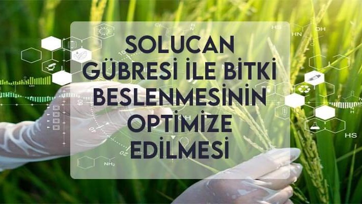 Solucan Gübresi ile Bitki Beslenmesinin Optimize Edilmesi