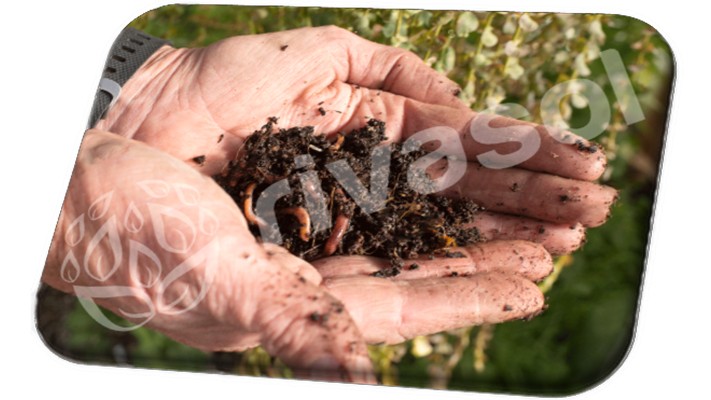 Solucan Gübresi İle Daha Sağlıklı Daha Doğal Ürünler Yetiştirin | Rivasol Solucan Gübresi İle Daha Sağlıklı Daha Doğal Ürünler Yetiştirin | Rivasol