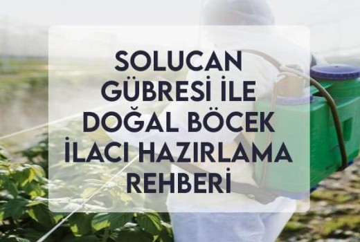 Solucan Gübresi ile Doğal Böcek İlacı Hazırlama Rehberi Solucan Gübresi ile Doğal Böcek İlacı Hazırlama Rehberi