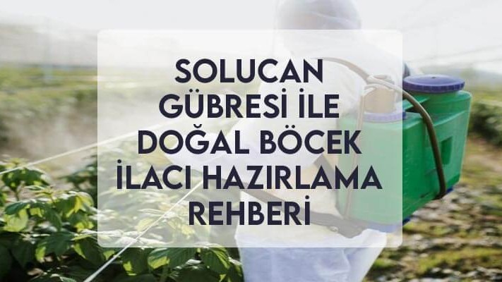 Solucan Gübresi ile Doğal Böcek İlacı Hazırlama Rehberi Solucan Gübresi ile Doğal Böcek İlacı Hazırlama Rehberi