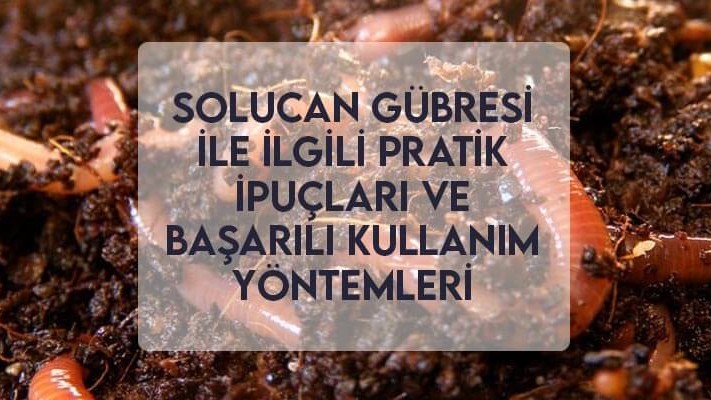 Solucan Gübresi ile İlgili Pratik İpuçları ve Başarılı Kullanım Yöntemleri Solucan Gübresi ile İlgili Pratik İpuçları ve Başarılı Kullanım Yöntemleri