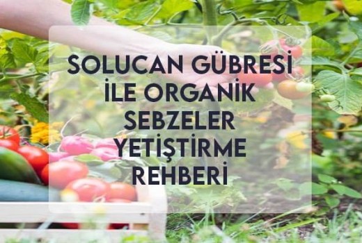 Solucan Gübresi ile Organik Sebzeler Yetiştirme Rehberi Solucan Gübresi ile Organik Sebzeler Yetiştirme Rehberi