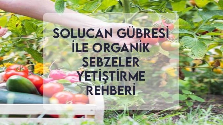 Solucan Gübresi ile Organik Sebzeler Yetiştirme Rehberi Solucan Gübresi ile Organik Sebzeler Yetiştirme Rehberi