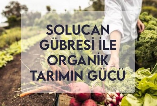 Solucan Gübresi ile Organik Tarımın Gücü Solucan Gübresi ile Organik Tarımın Gücü