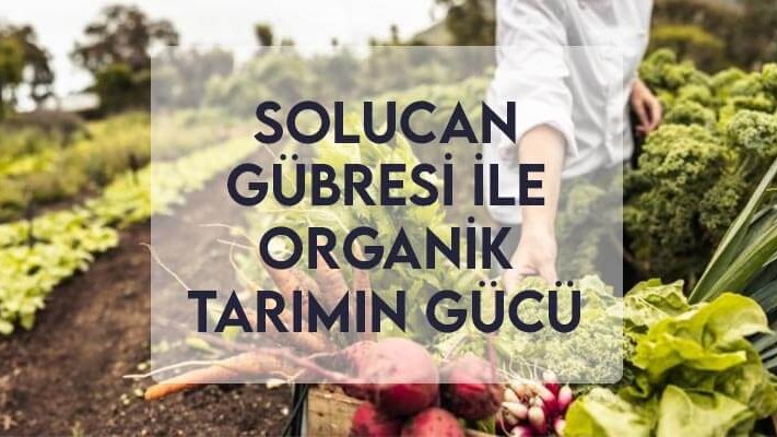 Solucan Gübresi ile Organik Tarımın Gücü Solucan Gübresi ile Organik Tarımın Gücü