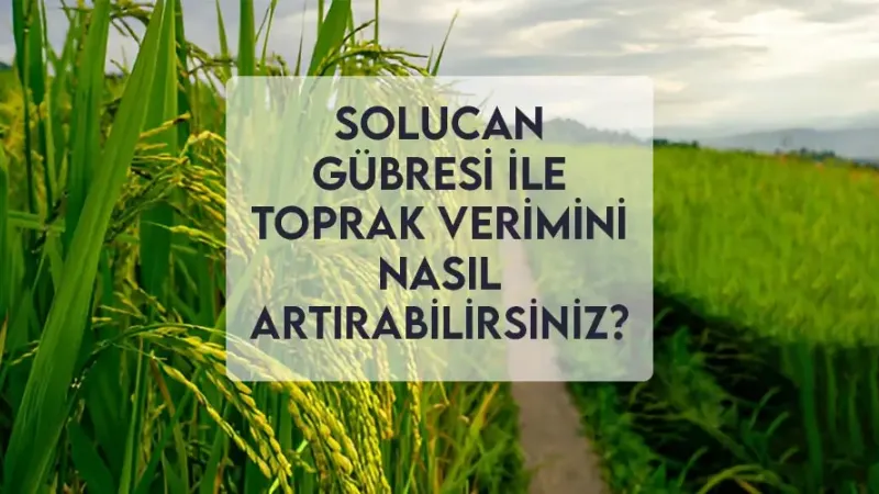 Solucan Gübresi ile Toprak Verimini Nasıl Artırabilirsiniz? Solucan Gübresi ile Toprak Verimini Nasıl Artırabilirsiniz?