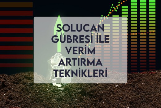 Solucan Gübresi ile Verim Artırma Teknikleri Solucan Gübresi ile Verim Artırma Teknikleri