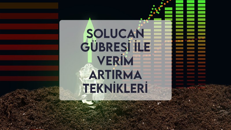 Solucan Gübresi ile Verim Artırma Teknikleri Solucan Gübresi ile Verim Artırma Teknikleri