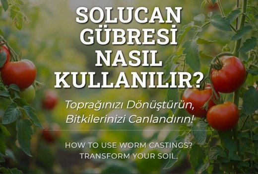 Solucan Gübresi Nasıl Kullanılır?
