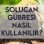 Solucan Gübresi Nasıl Kullanılır?