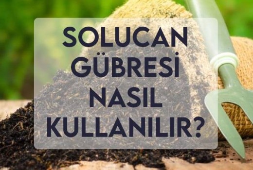 Solucan Gübresi Nasıl Kullanılır? Solucan Gübresi Nasıl Kullanılır?