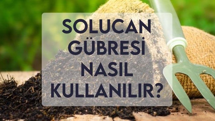 Solucan Gübresi Nasıl Kullanılır? Solucan Gübresi Nasıl Kullanılır?