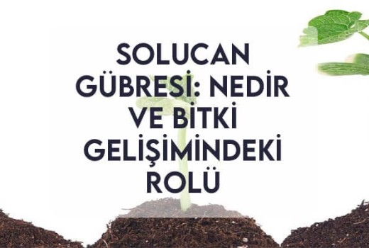 Solucan Gübresi: Nedir ve Bitki Gelişimindeki Rolü Solucan Gübresi: Nedir ve Bitki Gelişimindeki Rolü