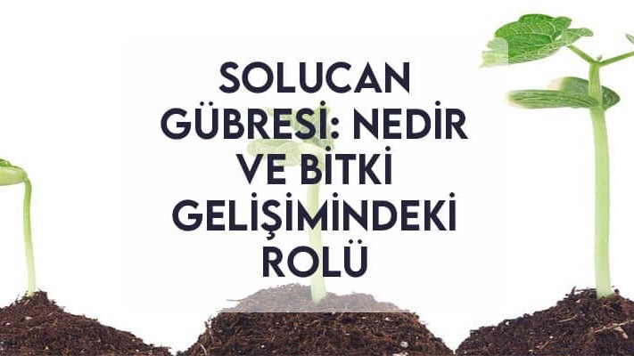Solucan Gübresi: Nedir ve Bitki Gelişimindeki Rolü Solucan Gübresi: Nedir ve Bitki Gelişimindeki Rolü