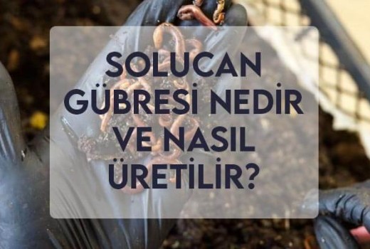 Solucan Gübresi Nedir ve Nasıl Üretilir? Solucan Gübresi Nedir ve Nasıl Üretilir?