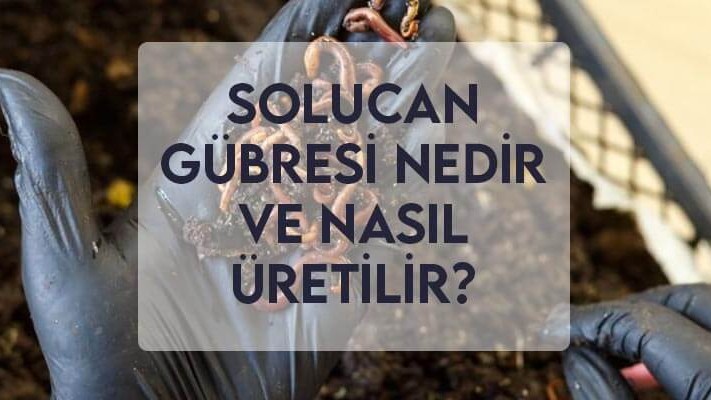 Solucan Gübresi Nedir ve Nasıl Üretilir? Solucan Gübresi Nedir ve Nasıl Üretilir?