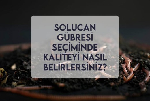 Solucan Gübresi Seçiminde Kaliteyi Nasıl Belirlersiniz?