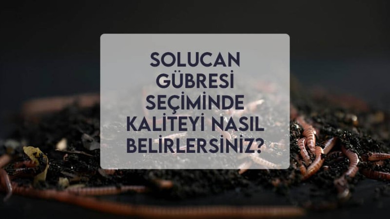 Solucan Gübresi Seçiminde Kaliteyi Nasıl Belirlersiniz? Solucan Gübresi Seçiminde Kaliteyi Nasıl Belirlersiniz?
