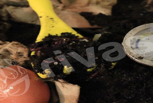 Solucan Gübresi Üretimi Üniversite Eliyle Yaygınlaştırılacak | Rivasol Solucan Gübresi Üretimi Üniversite Eliyle Yaygınlaştırılacak | Rivasol