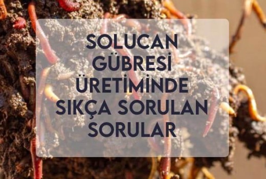 Solucan Gübresi Üretiminde Sıkça Sorulan Sorular Solucan Gübresi Üretiminde Sıkça Sorulan Sorular