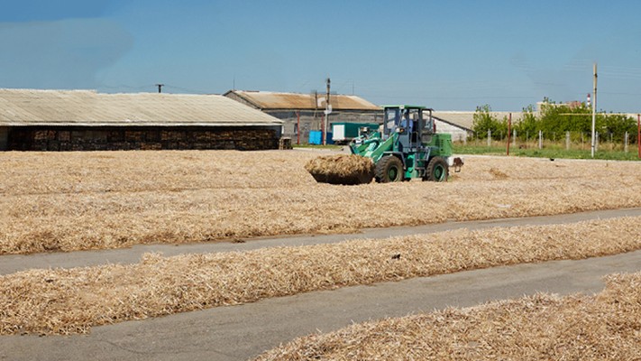 Solucan Gübresi Üretiminde Yol Haritası Nasıl Olmalı Solucan Gübresi Üretiminde Yol Haritası Nasıl Olmalı