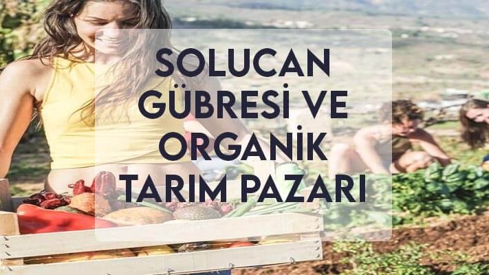 Solucan Gübresi ve Organik Tarım Pazarı Solucan Gübresi ve Organik Tarım Pazarı