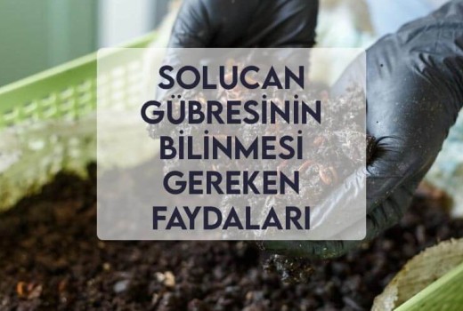 Solucan Gübresinin Bilinmesi Gereken Faydaları Solucan Gübresinin Bilinmesi Gereken Faydaları