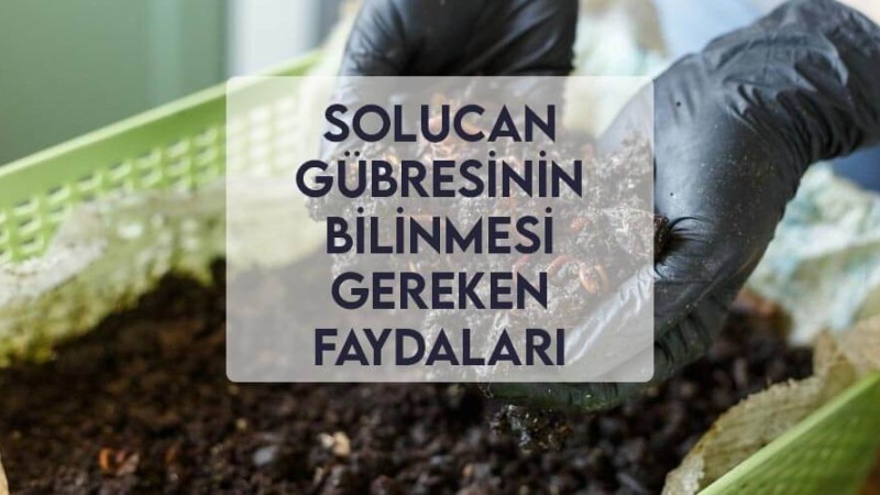 Solucan Gübresinin Bilinmesi Gereken Faydaları Solucan Gübresinin Bilinmesi Gereken Faydaları