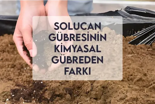 Solucan Gübresinin Kimyasal Gübreden Farkı