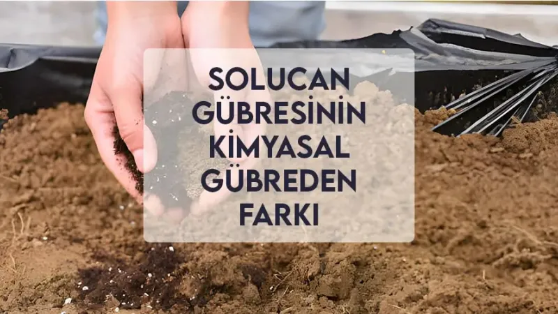 Solucan Gübresinin Kimyasal Gübreden Farkı Solucan Gübresinin Kimyasal Gübreden Farkı
