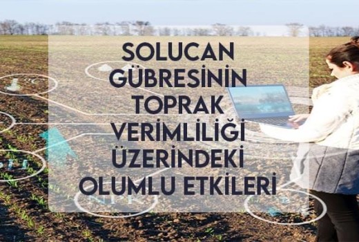 Solucan Gübresinin Toprak Verimliliği Üzerindeki Olumlu Etkileri Solucan Gübresinin Toprak Verimliliği Üzerindeki Olumlu Etkileri