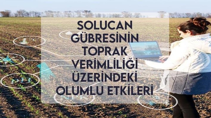 Solucan Gübresinin Toprak Verimliliği Üzerindeki Olumlu Etkileri Solucan Gübresinin Toprak Verimliliği Üzerindeki Olumlu Etkileri