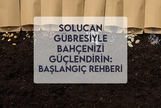 Solucan Gübresiyle Bahçenizi Güçlendirin: Başlangıç ​​Rehberi