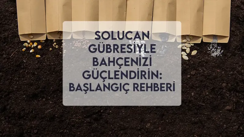 Solucan Gübresiyle Bahçenizi Güçlendirin: Başlangıç Rehberi Solucan Gübresiyle Bahçenizi Güçlendirin: Başlangıç Rehberi