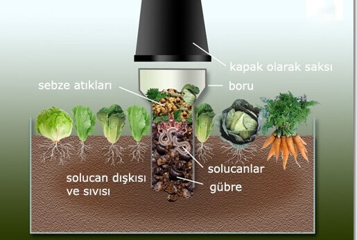 Solucan Gübresi Kulesi Nasıl Yapılır? Solucan Gübresi Kulesi Nasıl Yapılır?