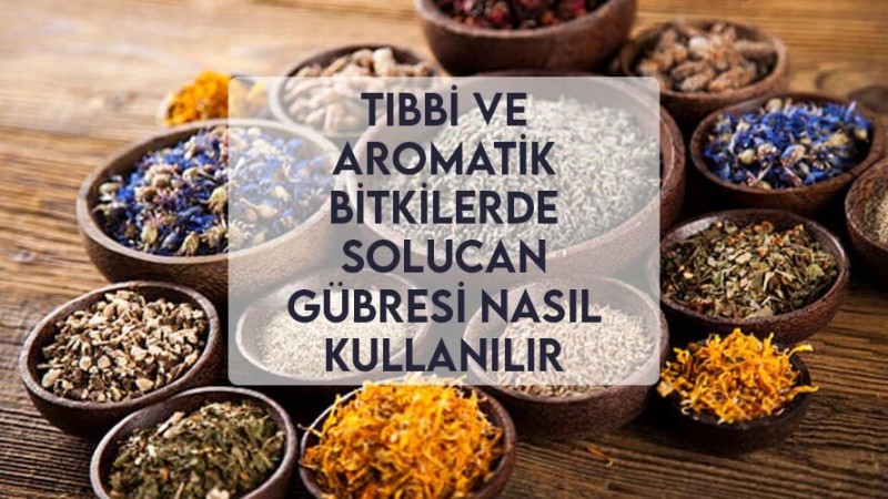 Tıbbi ve Aromatik Bitkilerde Solucan Gübresi Nasıl Kullanılır Tıbbi ve Aromatik Bitkilerde Solucan Gübresi Nasıl Kullanılır