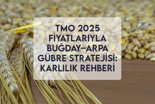 TMO 2025 Fiyatlarıyla Buğday–Arpa Gübre Stratejisi: Karlılık Rehberi TMO 2025 Fiyatlarıyla Buğday–Arpa Gübre Stratejisi: Karlılık Rehberi