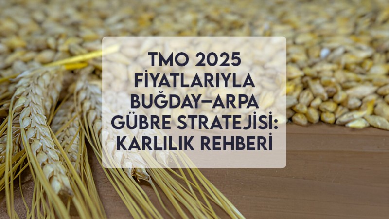 TMO 2025 Fiyatlarıyla Buğday–Arpa Gübre Stratejisi: Karlılık Rehberi
