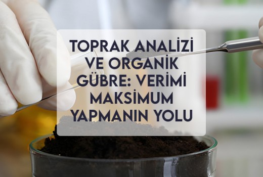 Toprak Analizi ve Organik Gübre: Verimi Maksimum Yapmanın Yolu Toprak Analizi ve Organik Gübre: Verimi Maksimum Yapmanın Yolu