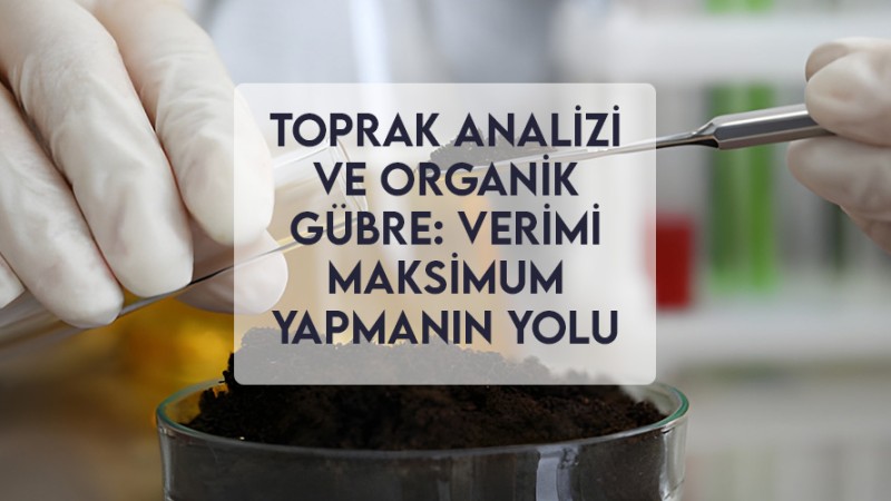 Toprak Analizi ve Organik Gübre: Verimi Maksimum Yapmanın Yolu Toprak Analizi ve Organik Gübre: Verimi Maksimum Yapmanın Yolu
